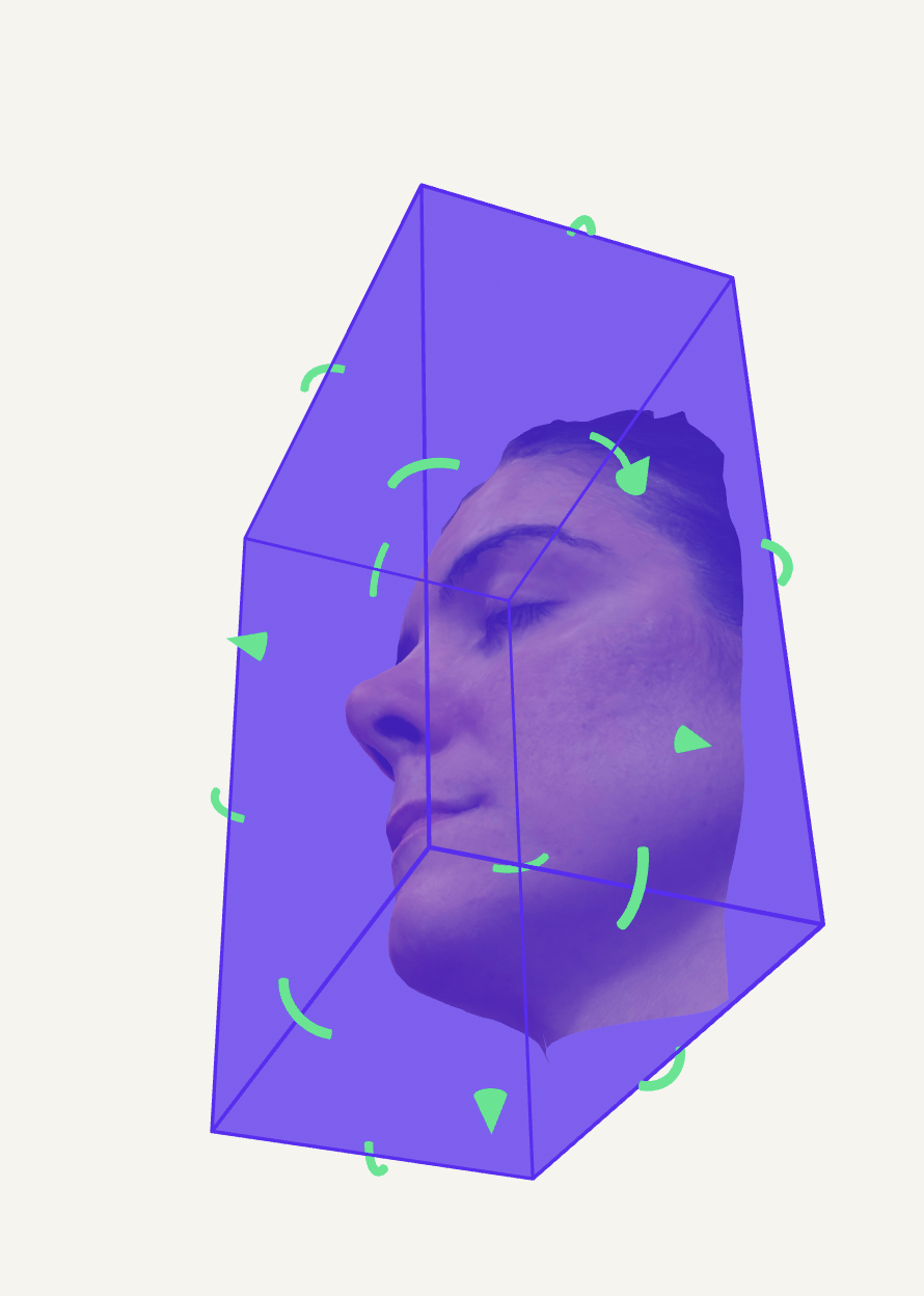 face scanning 1