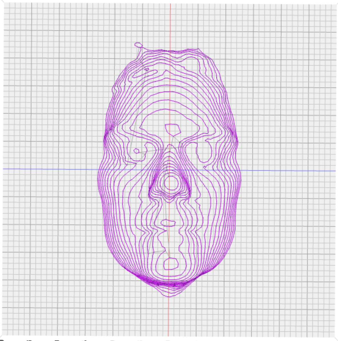 face scanning 3